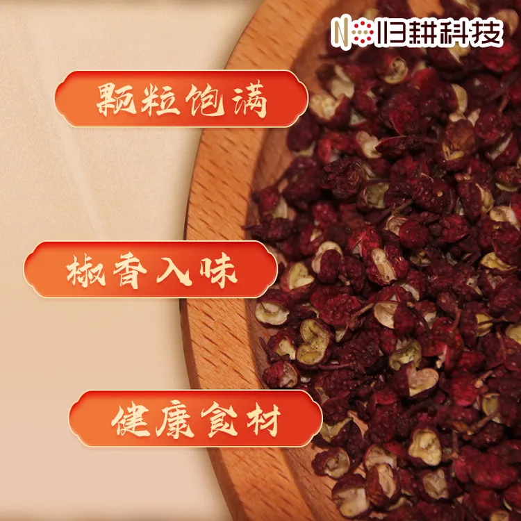 笮襄记汉源红花椒46g