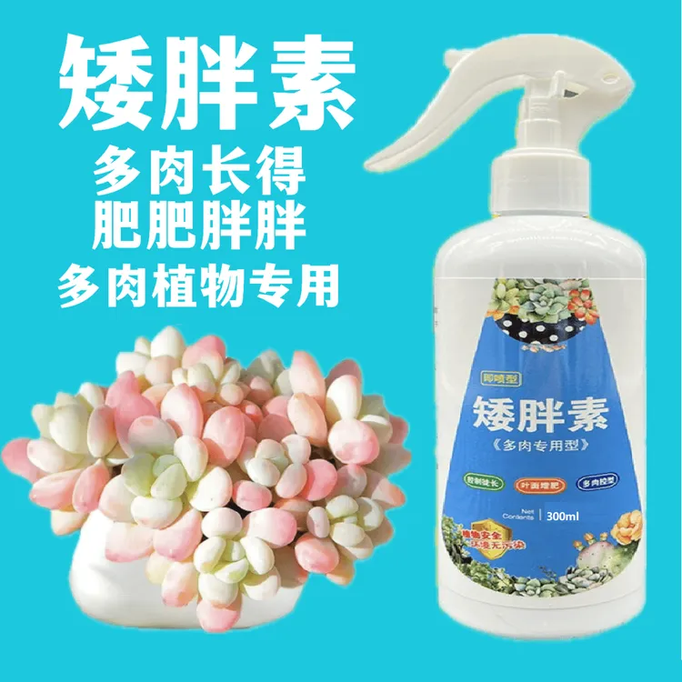 【多肉专用】矮胖素 适用多肉专用增色增肥促生长激活植物营养液商品图