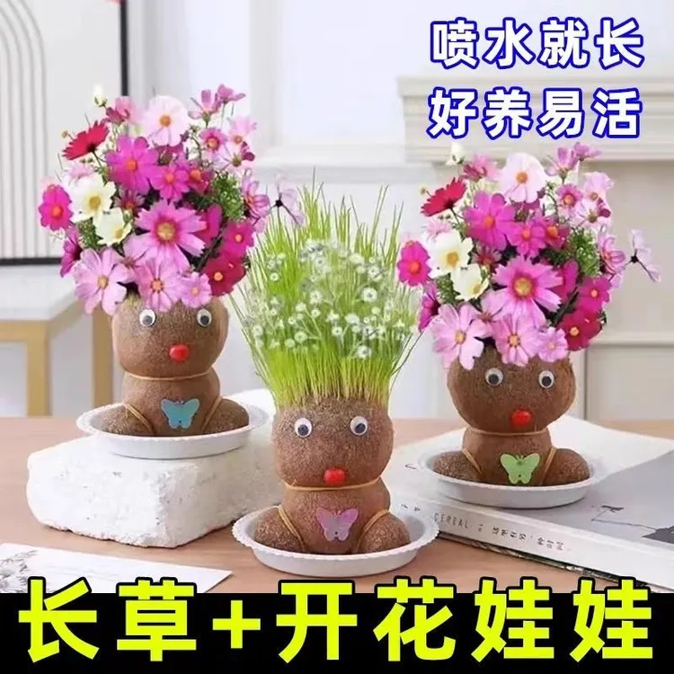 草头娃娃可爱小盆栽头上长草小植物浇水长草娃娃绿植儿童观察生长