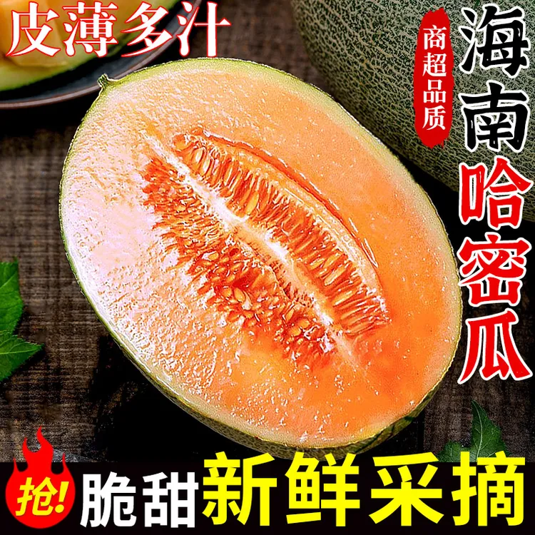 【海南直发】海南头茬哈密瓜4.5-9斤一藤一瓜脆甜多汁新鲜当季水果