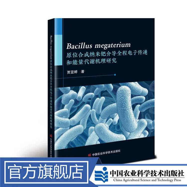  Bacillus 原位合成纳米钯介导全程电子传递和能量代谢机理研究