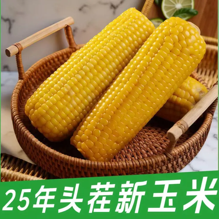 【整箱8.5-9.5斤含5棒试吃】东北真空黄糯玉米克280-380克*13棒商品图