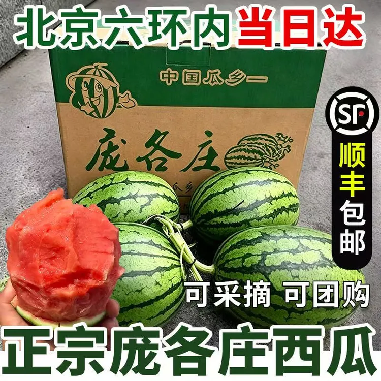 正宗北京庞各庄西瓜大兴薄皮西瓜4个小糖丸小吊瓜新鲜水果整箱2商品图