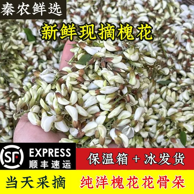 顺丰新鲜洋槐花现摘现发花骨朵可做洋槐花炒鸡蛋野菜饺子馅蔬菜