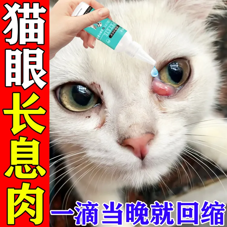 猫咪眼睛长息肉专用滴眼液狗狗樱桃眼第三眼睑增生腺体脱出发红用