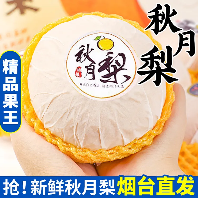 烟台秋月梨莱阳梨产地直发新鲜水果现摘现发整件包邮山东