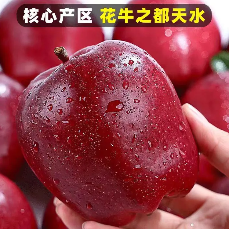 正宗甘肃天水花牛苹果新鲜采摘粉糯面甜水果产地直发爆款推荐