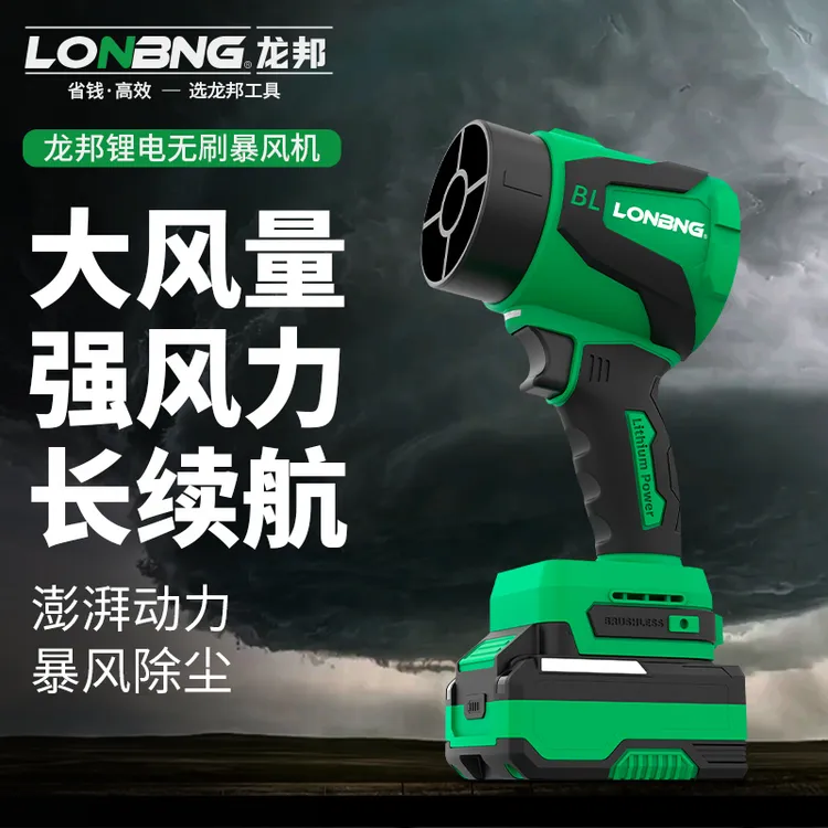 龙邦吹尘枪吹吸纯铜无刷暴力风机新款大功率吹雪洗车吹水家用吸尘