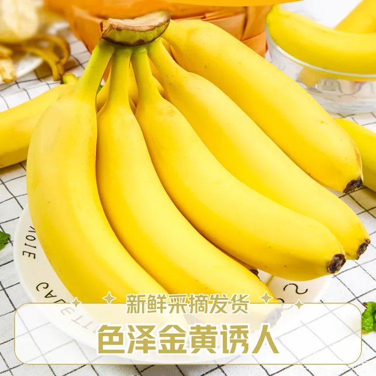 【福利特价】广西高山为威廉斯香蕉现摘办公室【禁止蕉绿】产地直发