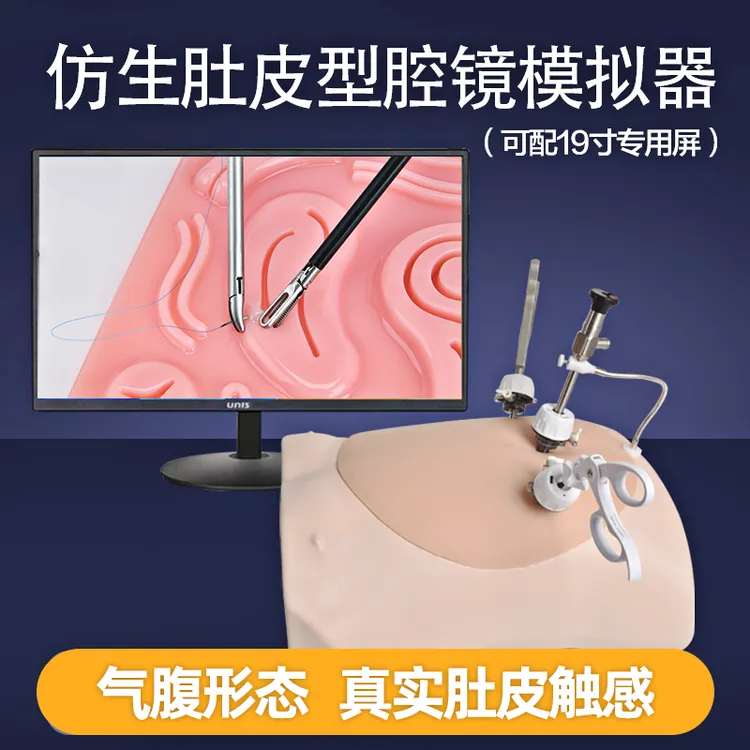 腹腔镜模拟训练30度直杆内窥镜胸妇科高仿人体肚皮手术练习器模块