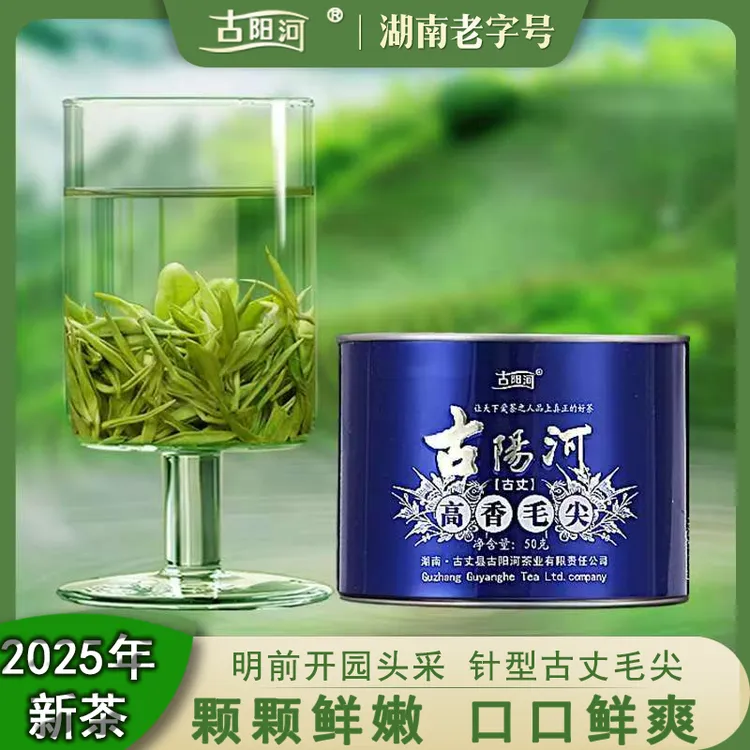 【2025头采古丈毛尖】现货【湖南老字号】湘西高山明前早春茗茶口口鲜