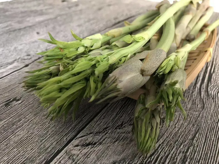 东北山野菜龙须菜一斤顺丰包邮