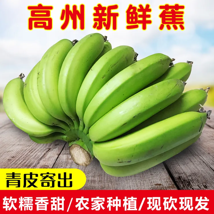 广东高州新鲜青香蕉无催熟剂现摘香甜软糯3/5/9斤