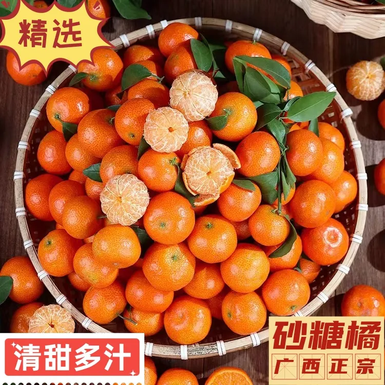 正宗广西小鲜甜砂糖橘3/5/9纯甜无核品质成熟采摘新鲜多汁香甜
