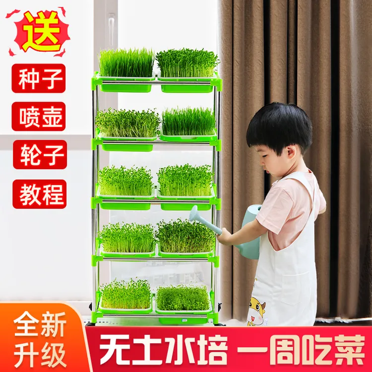 育苗盘水培蔬菜器皿芽苗菜种子豆芽加厚发芽盆神器无土栽培育苗架