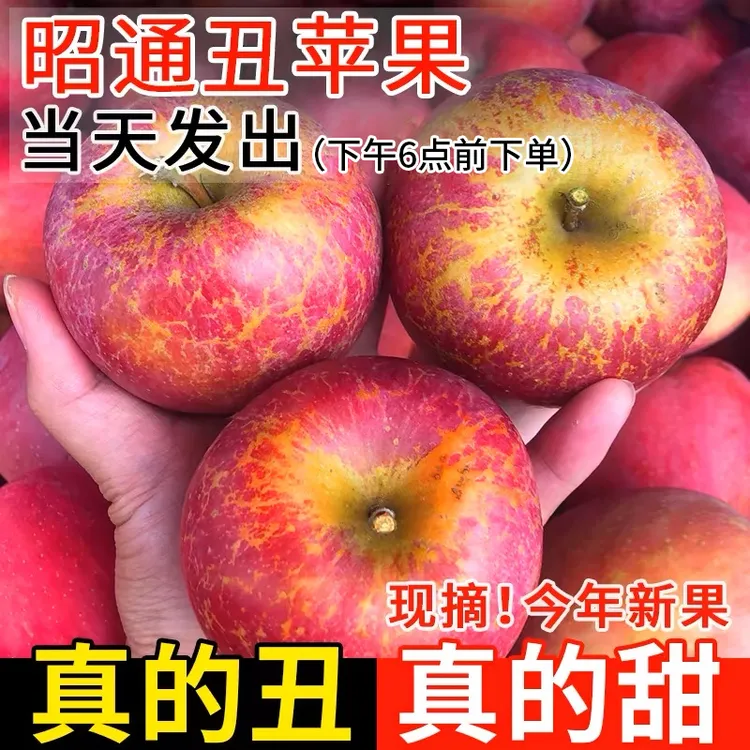 正宗云南昭通冰糖心丑苹果新鲜产地直发脆甜水果产地直发新鲜现摘