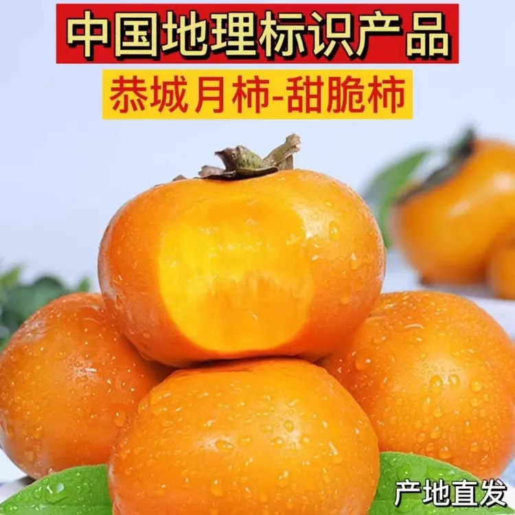 新鲜脆柿子新鲜水果脆甜柿子冰糖心硬柿子包邮整箱