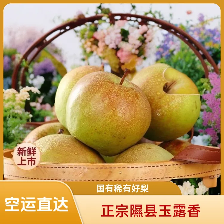 正宗山西隰县玉露香梨6/8斤精选好梨礼盒装口感香甜酥脆稀有新鲜