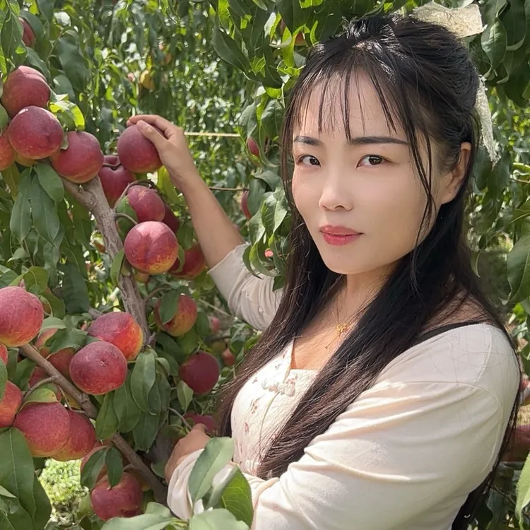 新疆软脆沙王油桃胜芒果油桃新鲜采摘顺丰包邮桃香浓郁产地直发