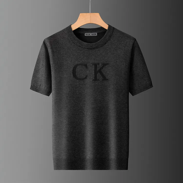 男士短袖潮流轻奢秋冬纯色圆领针织衫修身百搭大码休闲提花上衣t