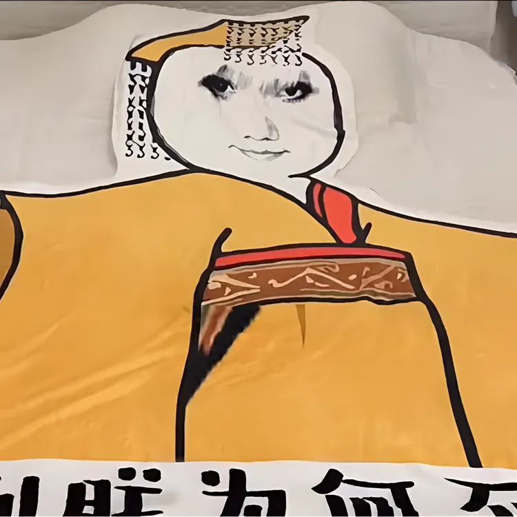 【曲奇】皇帝龙图毛毯 异形搞怪午睡空调毯毛毯凉被抽象龙图单人毯