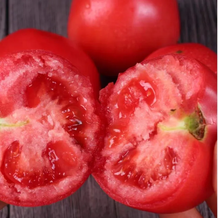 【沙瓤西红柿】四川攀枝花自然熟番茄露天粉果正宗生吃果蔬产地直销