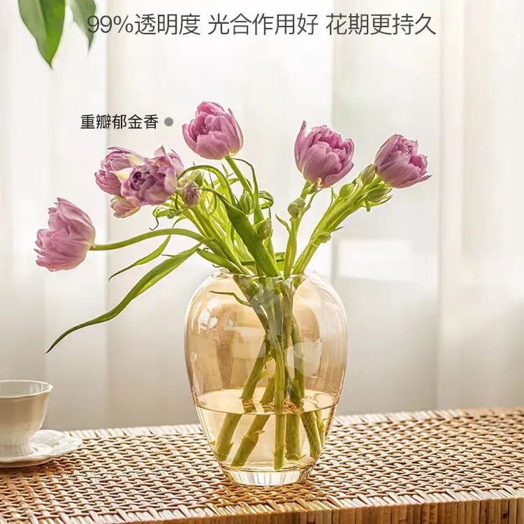 颜值北欧居家插花水培器皿玻璃花瓶轻奢高档透明搭配水养鲜花花瓶