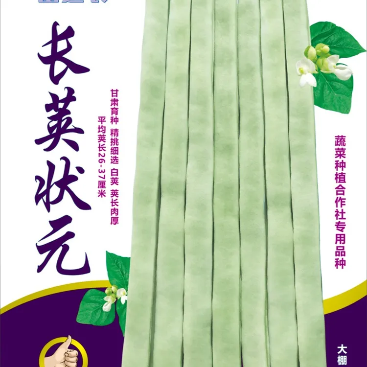 富连农长荚状元（长荚贵族）高产圆扁白绿色芸豆种子