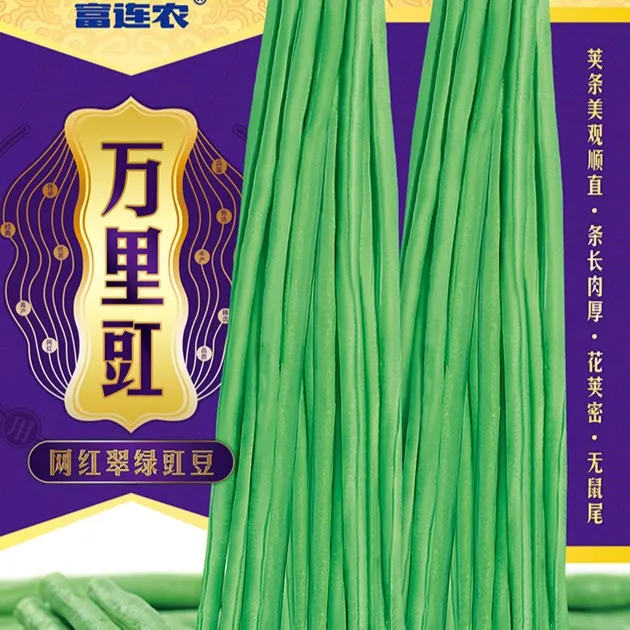 富连农万里豇（一举成名）翠绿条肉厚高产豇豆种子