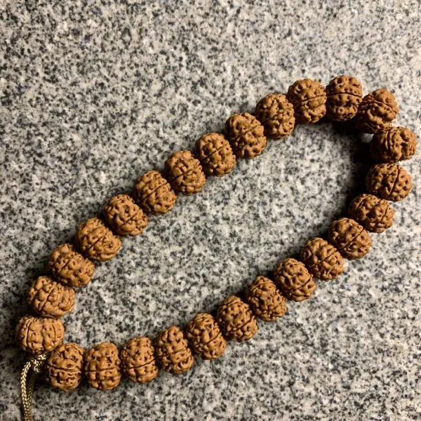 老树霸王花梅花小金刚菩提子手持手串平头细纹