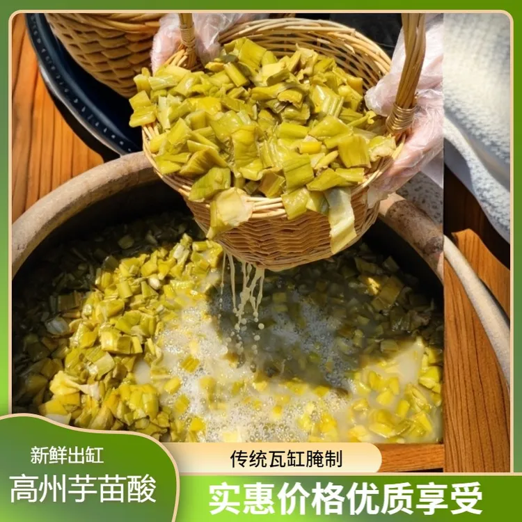 【到手2斤】高州鲜芋苗传统农家手工发酵芋苗酸脆嫩开胃下饭菜600g