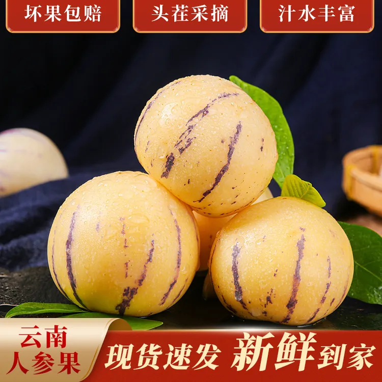一苹坊【云南石林人参果】黄肉圆果树上熟头茬现发水润香甜爆汁