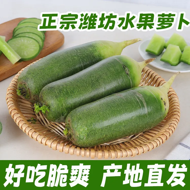 山东潍坊水果萝卜脆甜沙窝（新鲜现挖）正宗生吃青皮1斤3斤5斤9斤