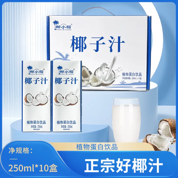 椰子汁生榨植物蛋白饮品风味饮料250ml*10瓶-HH