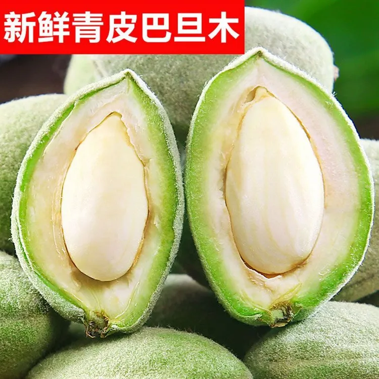 新鲜巴旦木嘎嘣脆薄壳皮现摘河南热卖绿皮扁桃大杏仁原味坚果