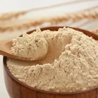 【菊博会】正宗张家畈炸麦粉三合粉现炒现磨冲泡即食