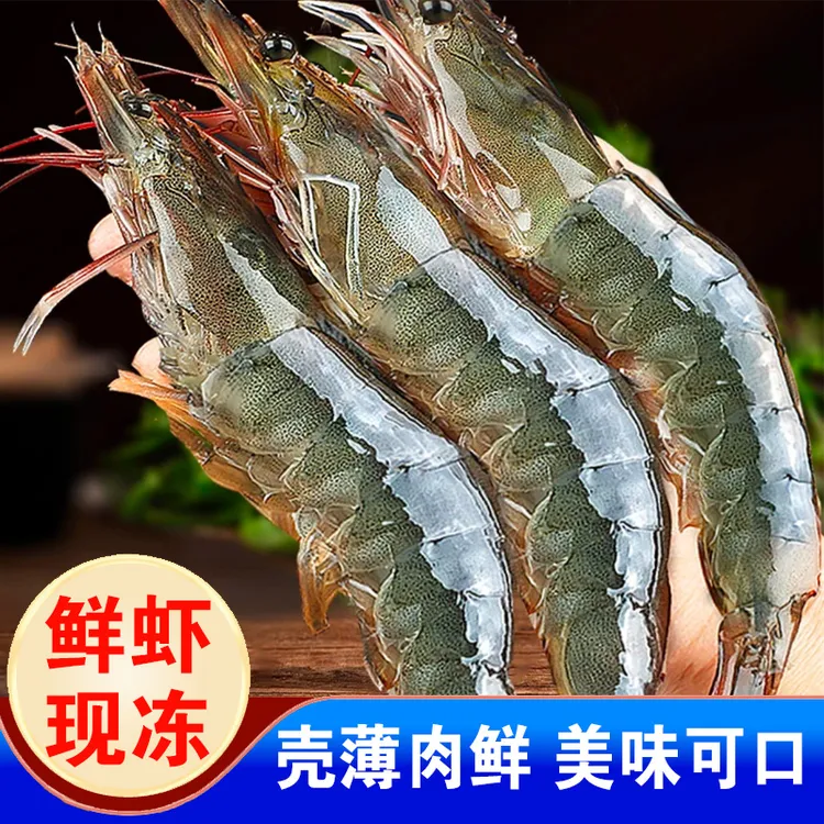 青岛大虾基围虾鲜活青虾白虾海虾对虾盐冻生鲜冰虾虾类海鲜