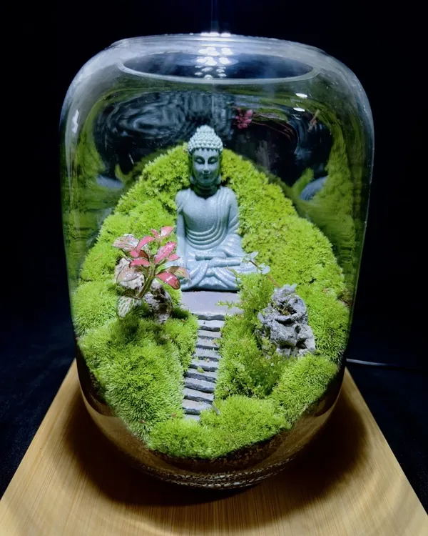 【万佛朝宗】苔藓微景观禅意茶桌摆件绿植风水玄关家居艺术摆件