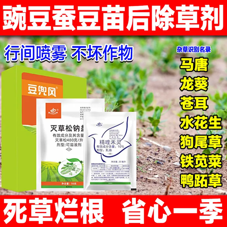 豌豆除草剂蚕豆四季豆苗后专用杀草烂根型农药香附子牛筋草婆婆纳