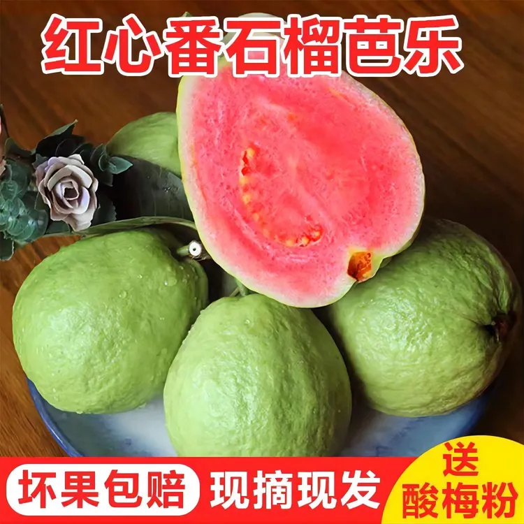 蕉享悦树熟红心芭乐果软心番石榴新鲜现摘水果1/3/5斤低糖超高维C
