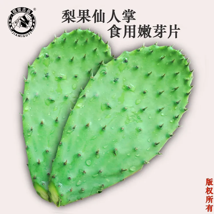 葭密古邑【梨果仙人掌】食用仙人掌 新鲜采摘炒菜凉拌嫩芽片 500g