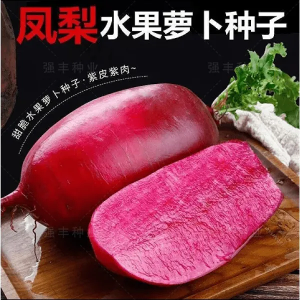 水果凤梨萝卜种子脆甜红皮红肉水果阳台菜园种