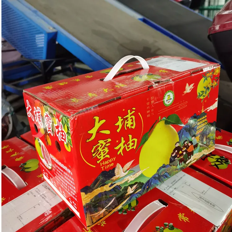 广东大埔原产地自家果园直销红肉蜜柚精选2个礼品盒礼品袋装新鲜