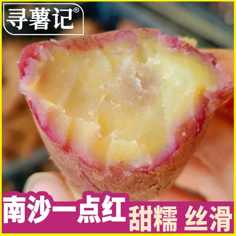 【寻薯记】正宗广州南沙一点红沙地番薯3/5斤装 软糯香甜红薯地瓜