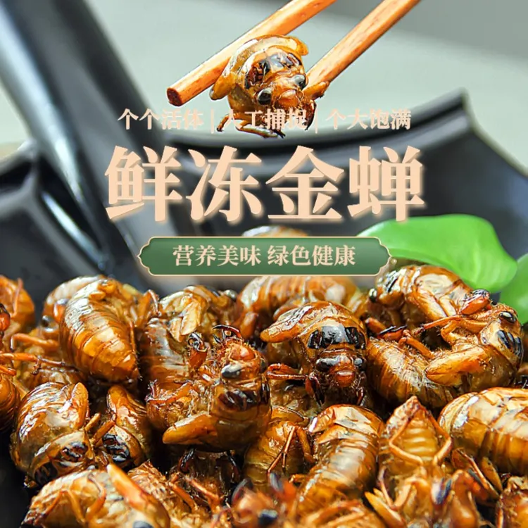 河南周口野生新鲜金蝉知了猴爬蚱鲜活速冻顺丰包邮速冻食品