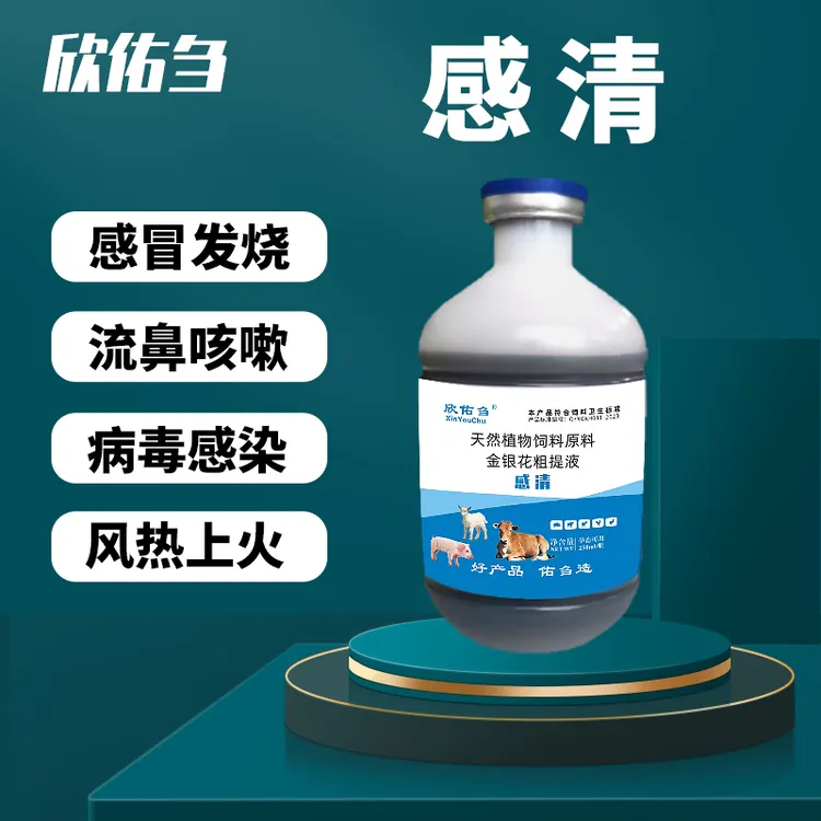 欣佑刍（感清）金银花粗体液