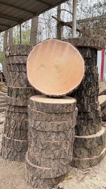 家用商用银杏木砧板实木切菜板整木案加厚刀板圆菜墩防霉无害健康