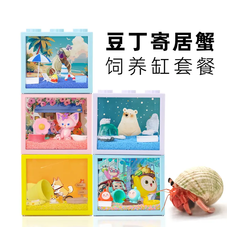 【新奇宠物】寄居蟹新手套装套餐小豆丁寄居蟹饲养盒寄居蟹饲养箱