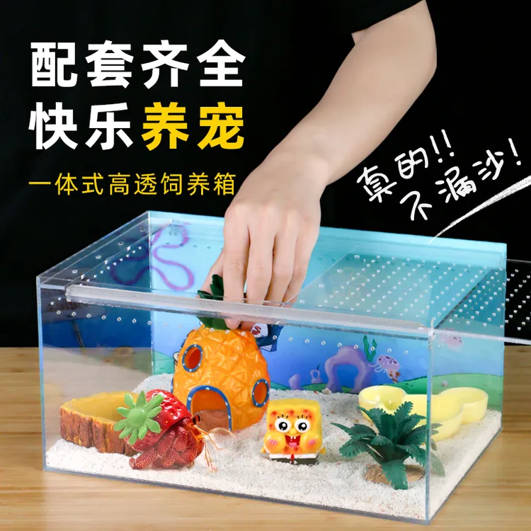 寄居蟹高透一体饲养箱亚克力不漏沙大号小号新手饲养套装套餐礼物