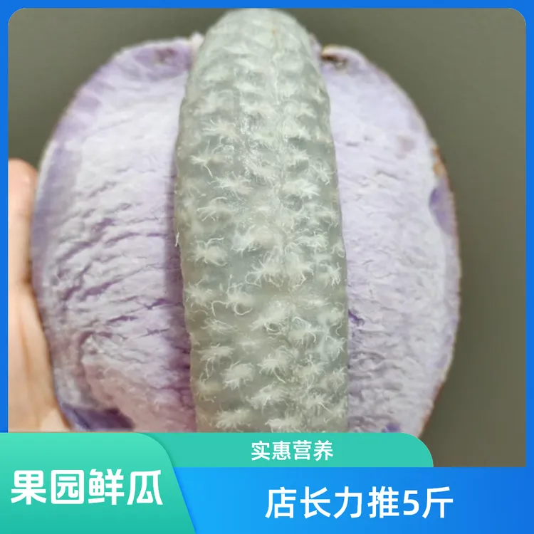 【放软食用】果园实惠采摘鲜嫩成熟精选营养水果八月瓜顺丰包邮